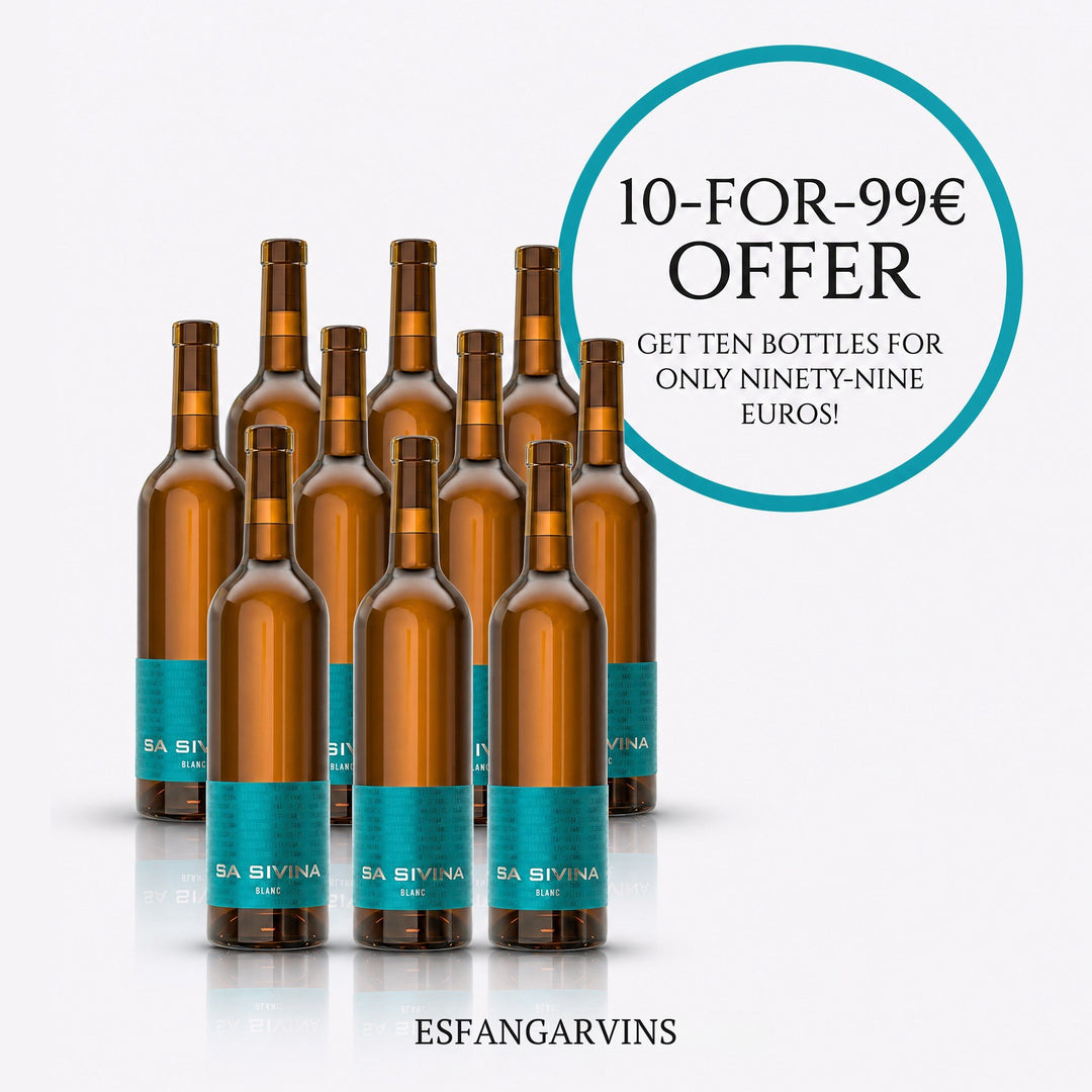 10-FOR-99 – Sa Sivinia 2023