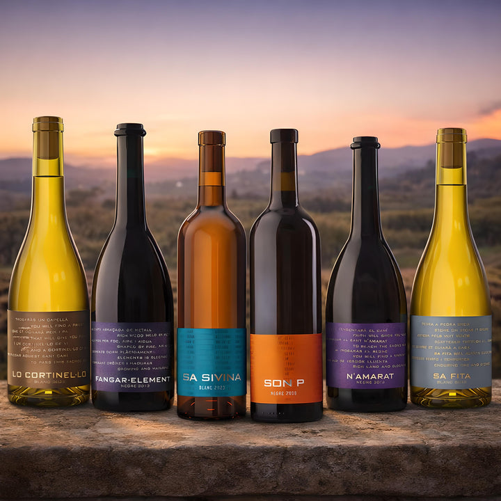 LIMITADO hasta el 31 de Diciembre de 2025 – Pack 6er “Selección Premium: Descubre Es Fangar Vins“