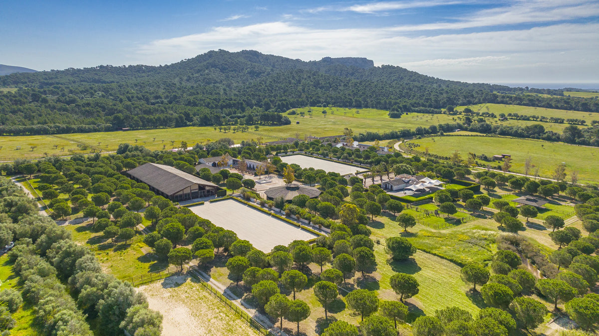 Vista aérea de las instalaciones ecuestres entre pinos