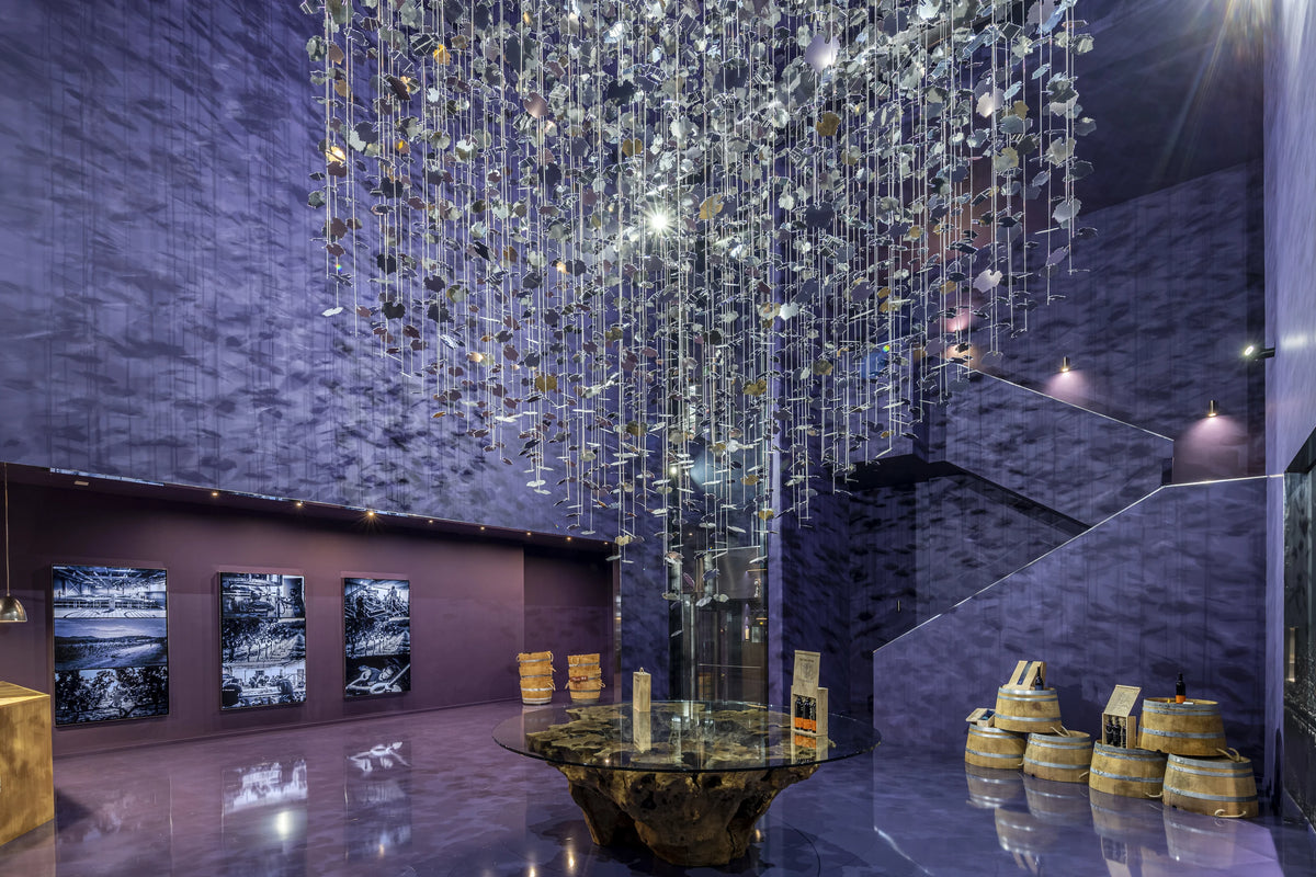 Entrance hall of the Es Fangar Vins winery with its hanging vine leaf sculpture